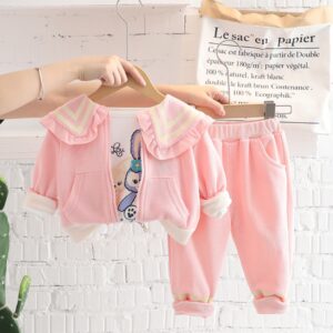 SET 3 , CAMPERA, JOGGER Y MANGAS LARGAS 2-3 AÑOS